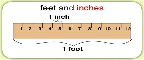 12 Foot In Inches