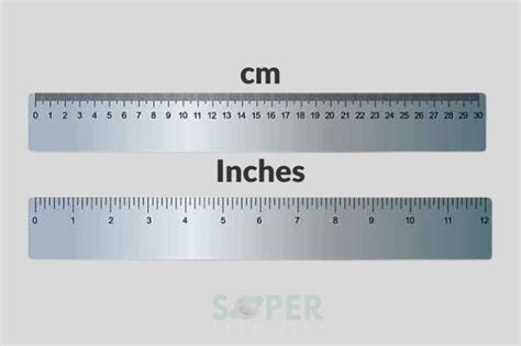 24Cm In Inches 24Cm In Inches