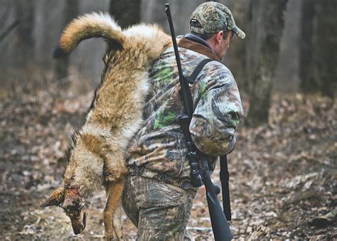 5 Tips To Better Coyote Hunting Game Fish 5 Tips To Better Coyote Hunting Game Fish
