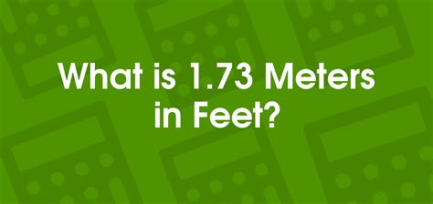 73 M In Feet