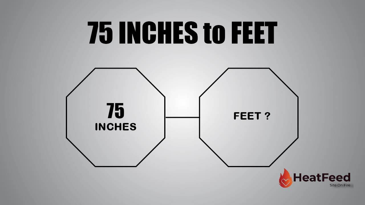 75 Inches To Feet