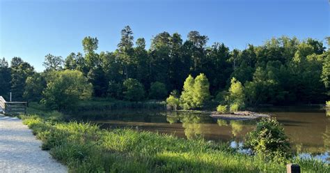 Al Buehler Trail Parking