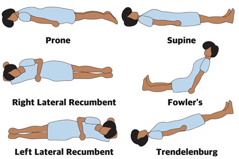 Anatomical Position Definitions And Illustrations Anatomical Position Definitions And Illustrations