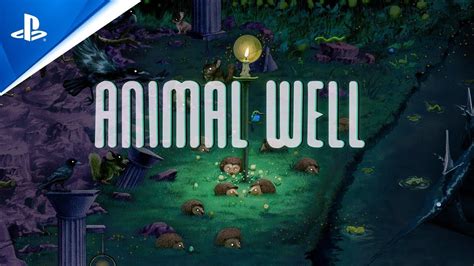 5 Animal Welfare Tips
