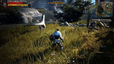 5 Black Desert Tips