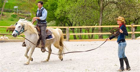 Beginner Horse Lessons Near Me Beginner Horse Lessons Near Me