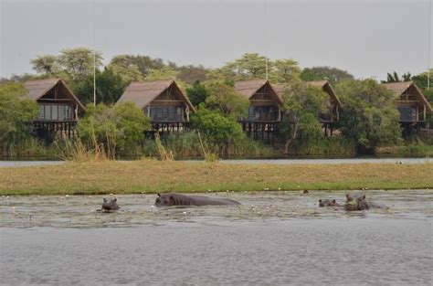 Birds Paradise At Chobe Water Villas O L Leisure Birds Paradise At Chobe Water Villas O L Leisure