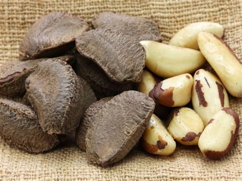 Brazil Nuts Name