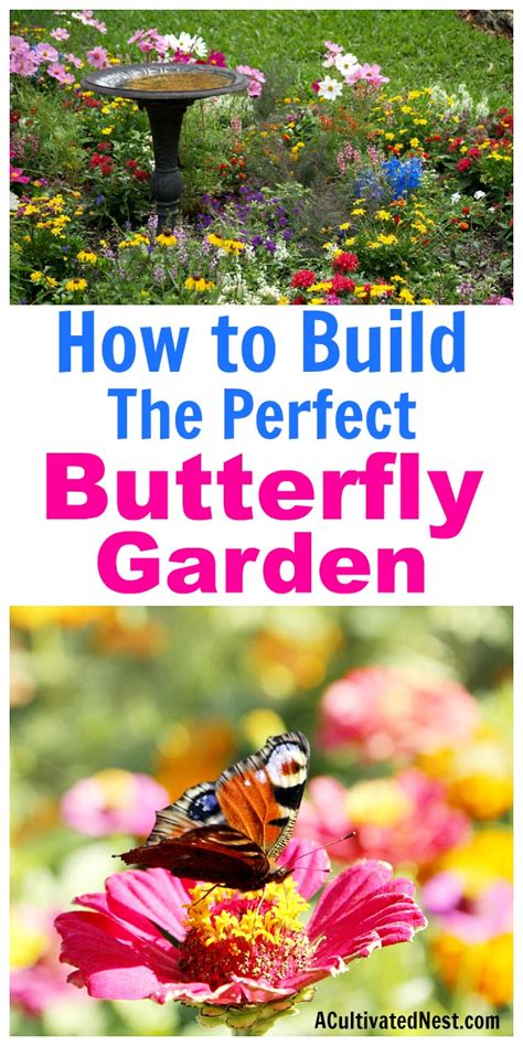 Build A Butterfly Garden Build A Butterfly Garden