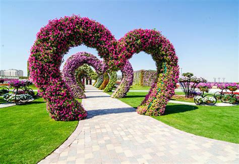 Butterfly Garden To Open Within Two Months Construction Week Online Butterfly Garden To Open Within Two Months Construction Week Online