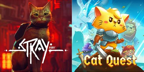 5 Cat Game Videos
