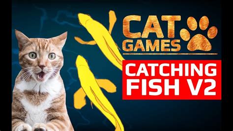 Cat Games Catching Fish V2 Entertainment Videos For Cats To Watch Cat Games Catching Fish V2 Entertainment Videos For Cats To Watch