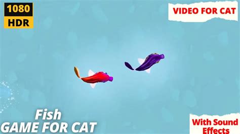 Cat Games Fish Game Cats Tv Fish Game Games For Cats Video Cat Games Fish Game Cats Tv Fish Game Games For Cats Video