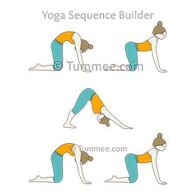 Cat Pose Or Downward Dog