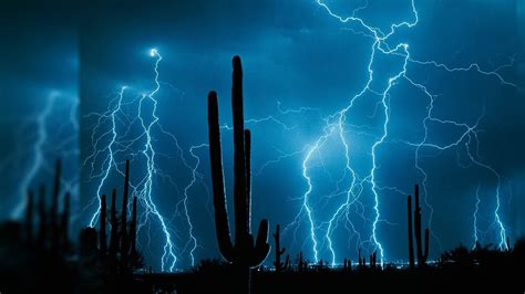 5 Cool Live Wallpapers