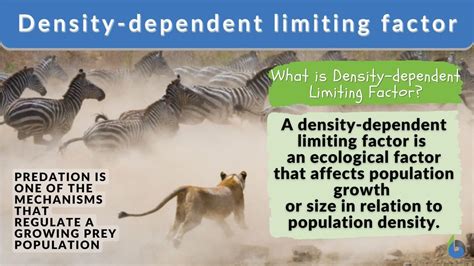 Density Dependent Factors Density Dependent Factors