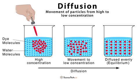 Diffusion Diagram Diffusion Diagram