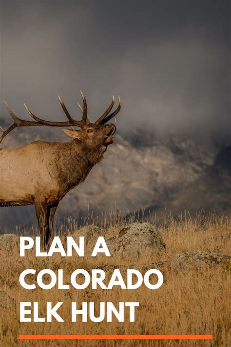 Elk Hunting Gear Elk Hunting Colorado Hunting Dog Names Hunting Dogs Elk Hunting Gear Elk Hunting Colorado Hunting Dog Names Hunting Dogs