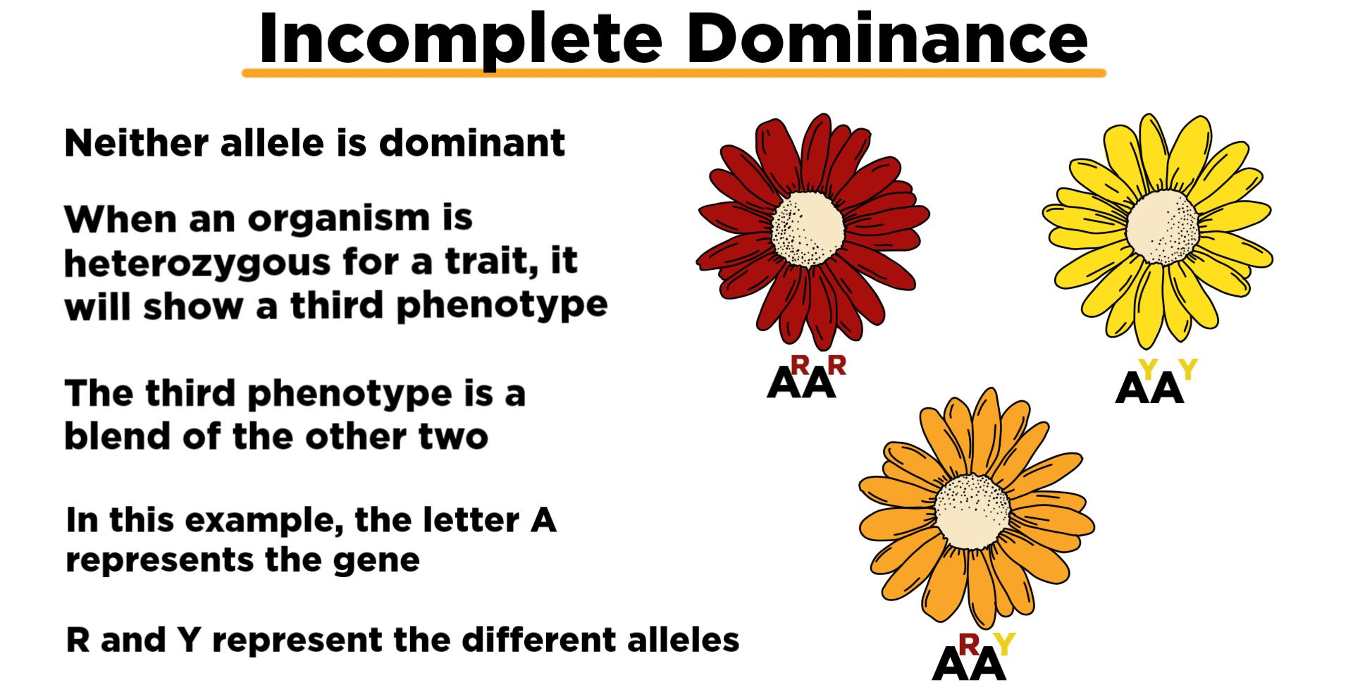Example Of Incomplete Dominance