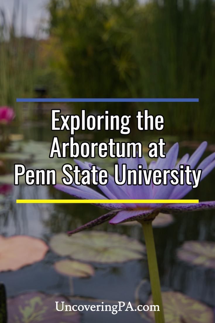 Exploring The Arboretum At Penn State Exploring The Arboretum At Penn State