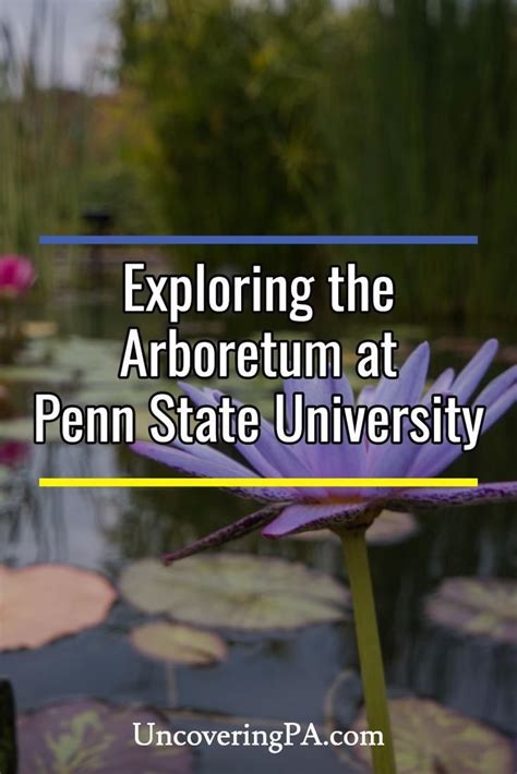 Exploring The Beautiful Arboretum At Penn State In State College Exploring The Beautiful Arboretum At Penn State In State College