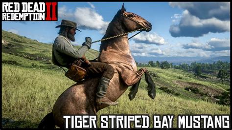Favorite New Horse Tiger Striped Bay Mustang R Reddeadredemption2 Favorite New Horse Tiger Striped Bay Mustang R Reddeadredemption2