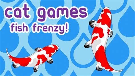 Fish Game For Cats Fun Fish Game For Cats Fun