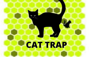 Trap the Cat Game Trap the Cat Game