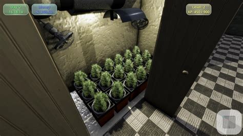 5 Games for Weed