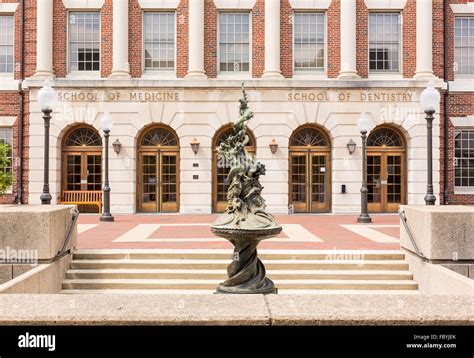 Georgetown Medical School
