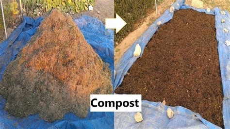 Grass Clippings In Garden Compost Fasci Garden Grass Clippings In Garden Compost Fasci Garden