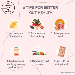 Gut Health 6 Top Tips Eli Brecher Nutrition Gut Health 6 Top Tips Eli Brecher Nutrition