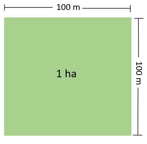 Hectare Wikiwand Hectare Wikiwand