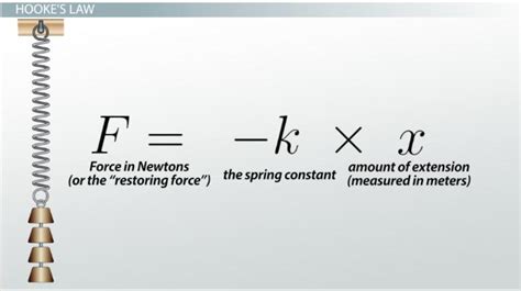 Hooke's Law Spring Constant