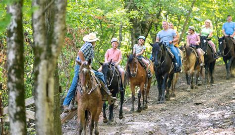 Horse Back Riding Near Me