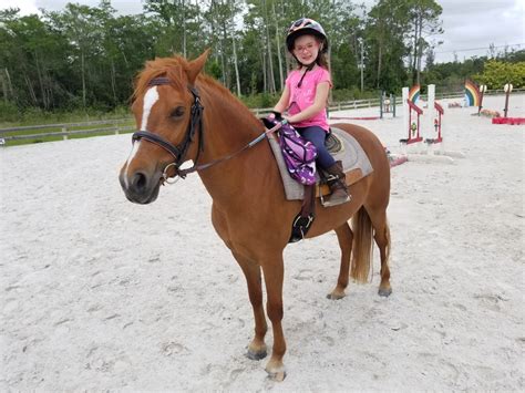 Horse Rides Near Me