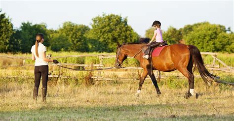 Horse Riding Lessons Near Me Horse Riding Lessons Near Me