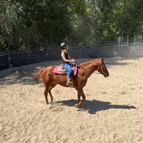 Horseback Riding In Orange County Enjoy Oc Horseback Riding In Orange County Enjoy Oc