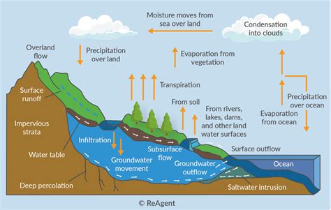How Does Condensation Work How Does Condensation Work