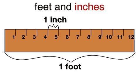 How Many Inches Are In 2 Feet