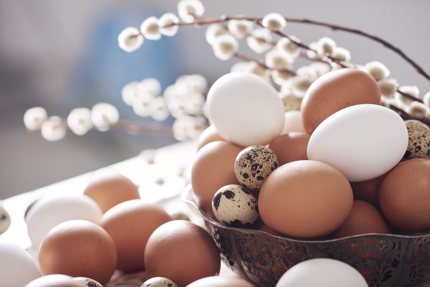 How Often Do Chickens Lay Eggs Chickens For Backyards How Often Do Chickens Lay Eggs Chickens For Backyards
