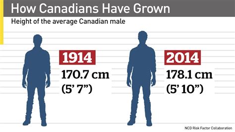 How Tall Is 178 Cm In Feet How Tall Is 178 Cm In Feet