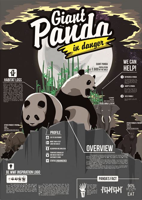 Infographic About Endangered Giant Panda Infographic About Endangered Giant Panda