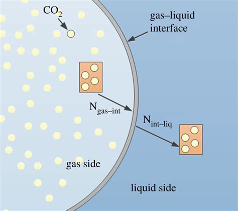 Interactions Between Gas Liquid Mass Transfer And Bubble Behaviours Interactions Between Gas Liquid Mass Transfer And Bubble Behaviours