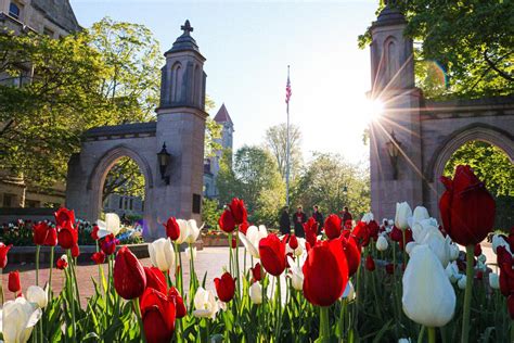 Iu Spring Break 2025 Iu Spring Break 2025