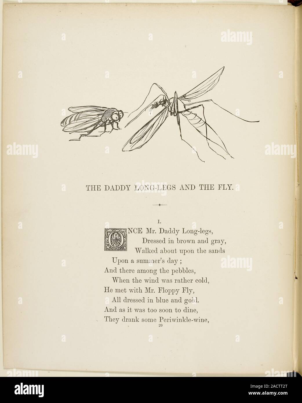 5 Tips Learn To Fly 5 Tips Learn To Fly