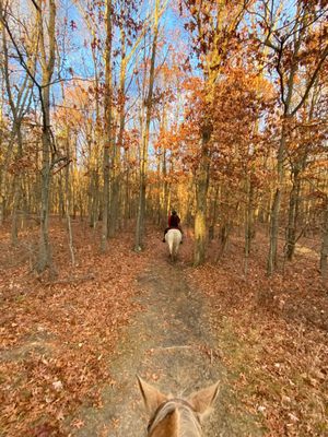 Legacy Riding Stables Legacy Riding Stables