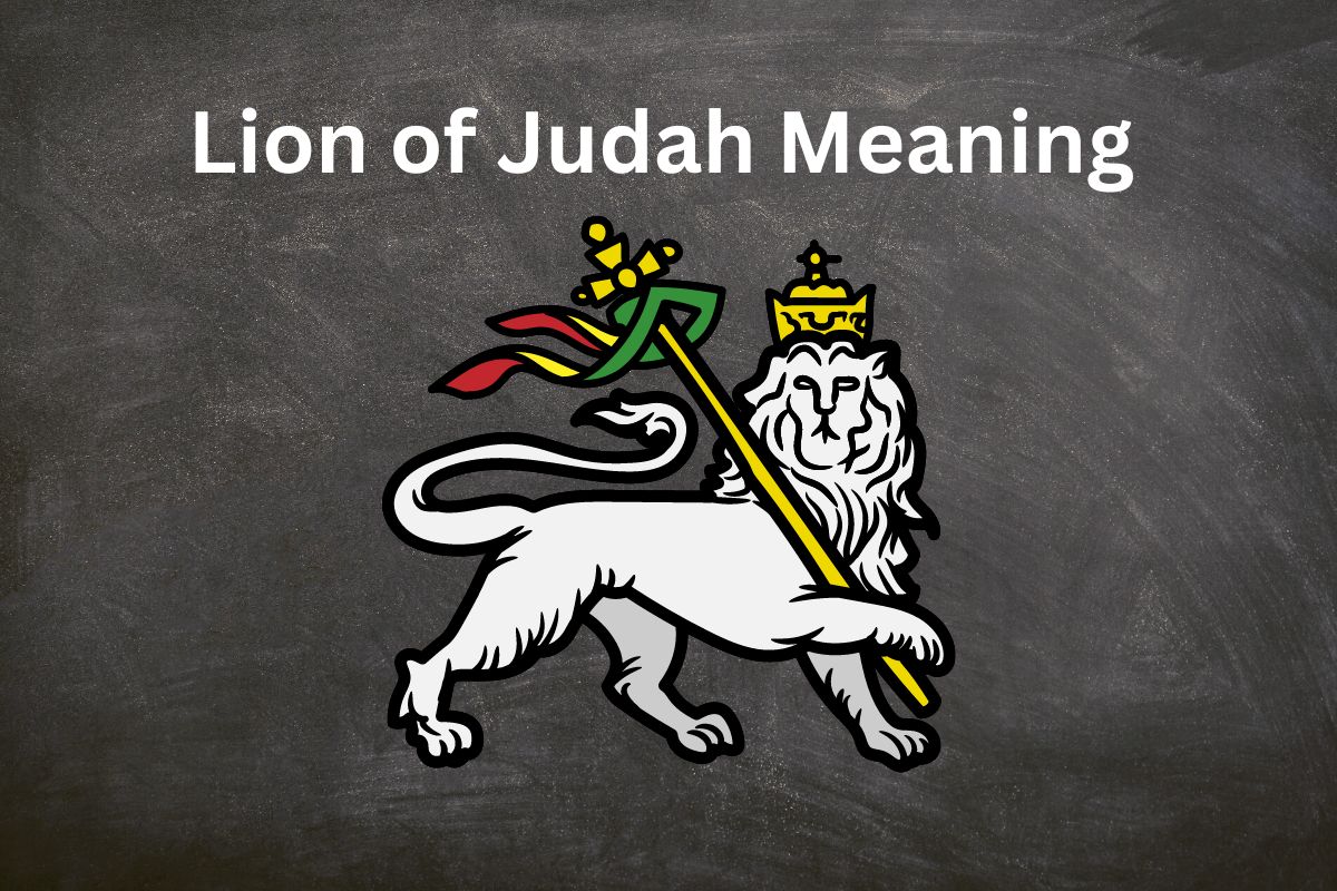 Lion Of Judah Meaning Lion Of Judah Meaning