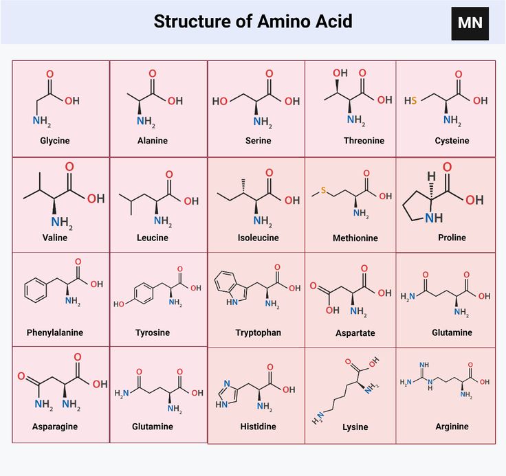 Mcat Amino Acids