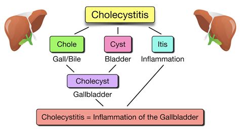 Medical Term For Chole